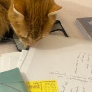 II biologia- fizjologia roślinek