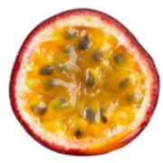 Sociology:Research methods