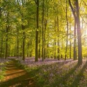 ES1) The Living Environement