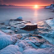 Field Guide & Practice Tests**