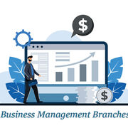 higher business management