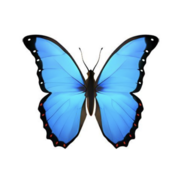 1C: Endocrine & Metabolic Conditions