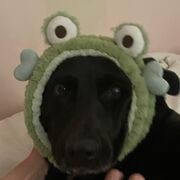 Soins De Base Examen Final