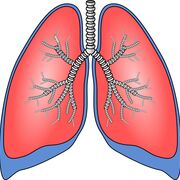 MED-1202 - Pneumo - Examen 2