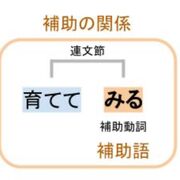 ほじょどうし / auxiliary verbs), Number Expression