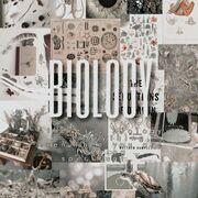 •|Biology~°