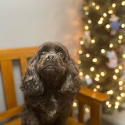 Test Three (Historical Thinking)