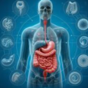 MMD 1221 (intégration 1)