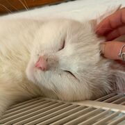 PREVENTIEVE GEZONDHEIDSZORG