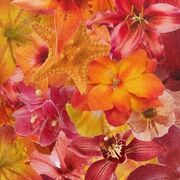 English Paper 2: Child Language Aquisition