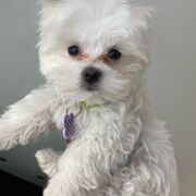 CHI 1045 - Ariane 😛 exam final partie 1