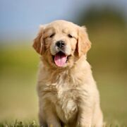 Bible Vocab and Verses Exam