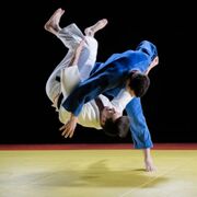 Judo grading