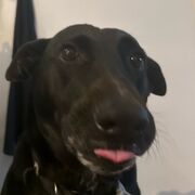 Soins De Base Examen Final