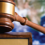 Court Interpreting (Reference)