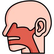 Otorrinolaringología