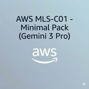 AWS MLS-C01 - Minimal Pack (Gemini 3 Pro)