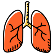 Respiratório