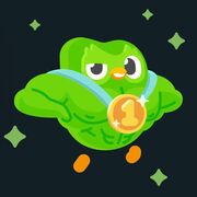 FINALS STUDY FLASHCARDS