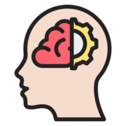 My Own Notes - IB DP Psychology HL