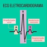 Z (INC) - ECG