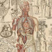 Structure And Function