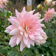 Year 9 Science End Of Year Exams