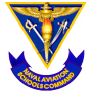 Z. NIFE I: Flight Rules & Regulations (Lesson 3)