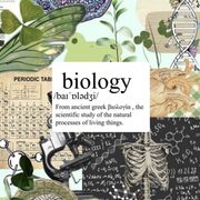 GCSE Biology Higher AQA