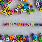 Vocabulary Words