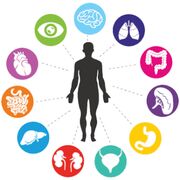 TT- General Principles of Medicine