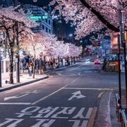 서강 한국어
