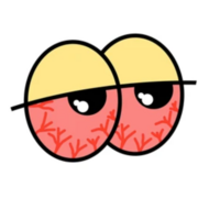 5º_1º EM3 ☛ Oftalmologia