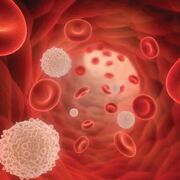 Basic Haematology