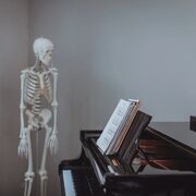 Timani Certification Course