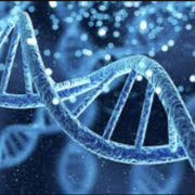 B8 DNA, genes and protein sythesis