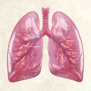 Respiratory