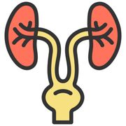 Quirúrgica II: Urología