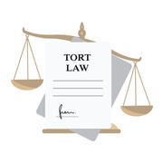 P3 Tort Law