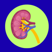 El ser Humano y Su Medio