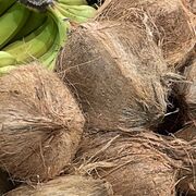 Gemara Navigational Terms