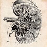 #URO
