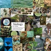 ZOOLOGIA