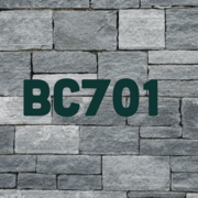BC701 - Marriage and Family Counseling