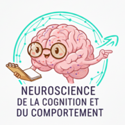 Neuro cog et comp - PSY1049