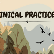 Clin Practice 3
