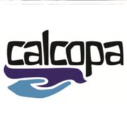 CALCOPA VOCABULARY
