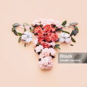 MMD 1110 (urogynéco) KTH