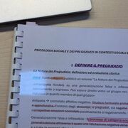 PSICOLOGIA SOCIALE E DEL PREGIUDIZIO IN CONTESTI SOCIALI ED ORGANIZZATIVI