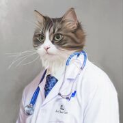 Physiopatho (Respi, Psychia etc)